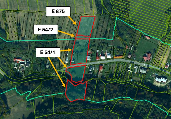 Mapa katastrálního území Ladomirová zobrazující zemědělské a lesní pozemky s parcelami E 875, E 54/2, E 54/1.