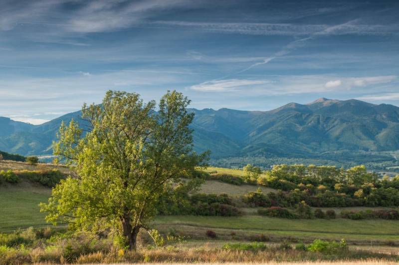 Krajina zemědělských a lesních pozemků u Sučan s panoramatem hor a stromem v popředí.