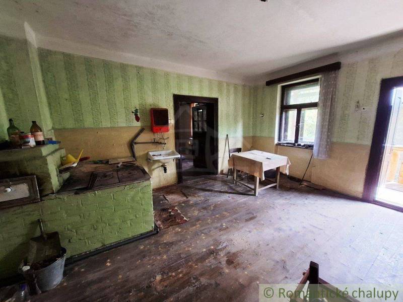 Kuchyně v rodinném domě s jednoduchým zařízením, dřevěná podlaha a zelené stěny.