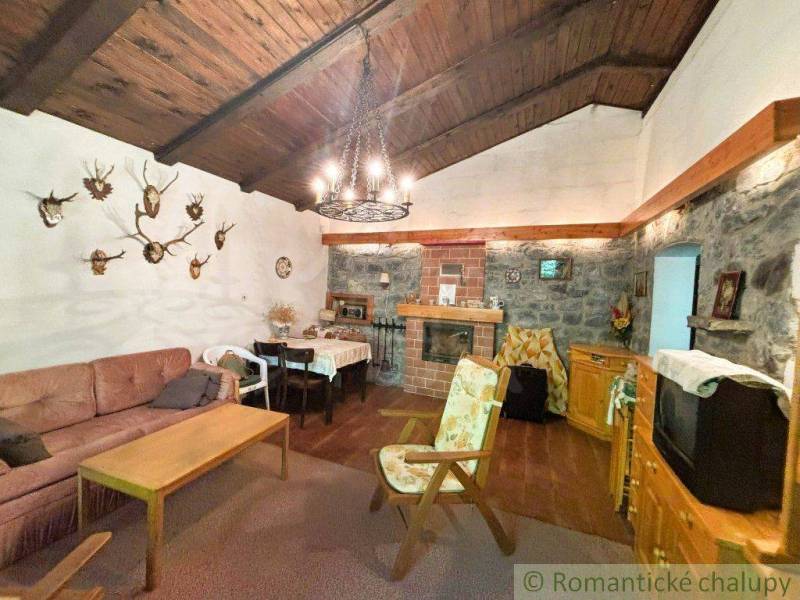 Rustikální interiér rodinného domu s krbem, loveckými trofejemi a dřevěným stropem.