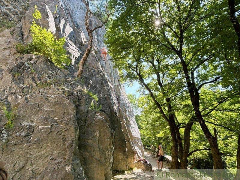 Horolezci v zahradách Malacek lezou na skalní stěnu obklopenou stromy.