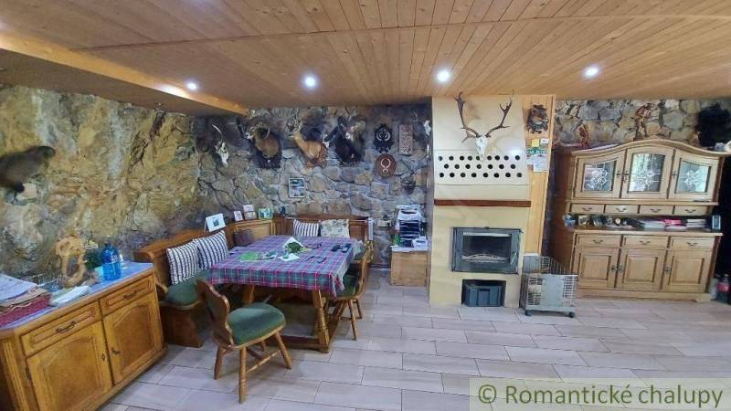 Interiér rodinného domu se stylovým krbem a loveckými trofejemi na kamenné stěně.