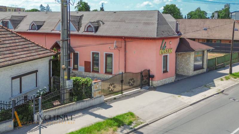 Rodinný dům na ulici Gyuly Szabóa v Dunajské Stredě s růžovou fasádou a kamennými detaily.