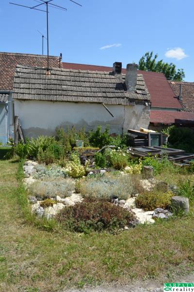 Zahrada u staršího domu s vegetací a štěrkovými záhony v Borském Svätém Juru.