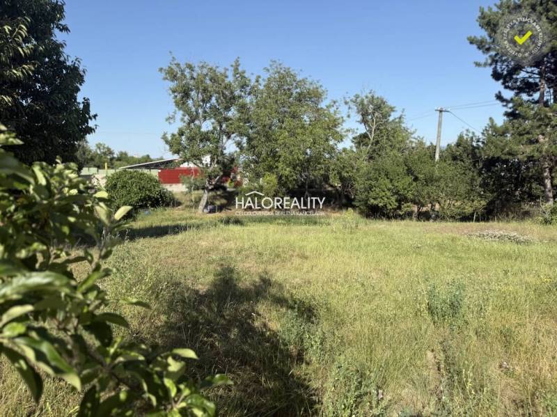 Stromy a tráva na pozemku k bydlení v Žabokrekách nad Nitrou.