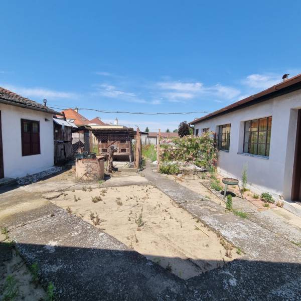 Dvorek rodinného domu na Riadku v Malackách s úpravami a zelení.