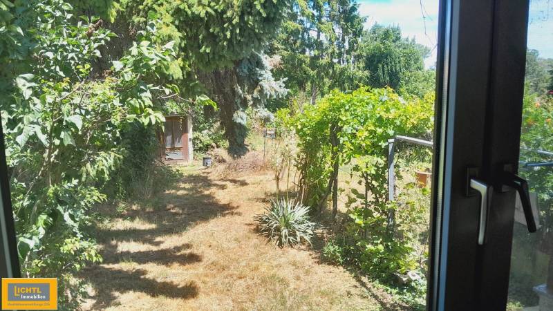 Útulná zahrada rodinného domu v Potzneusiedlu s bujnou vegetací a stromy.