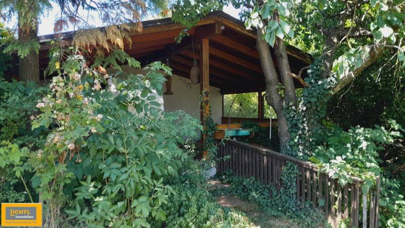 Zarostlá terasa rodinného domu v Potzneusiedlu obklopená stromy a zelení.