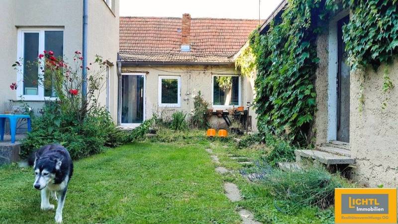 Zahrada u rodinného domu v Kittsee se psem a popínavými rostlinami na fasádě.