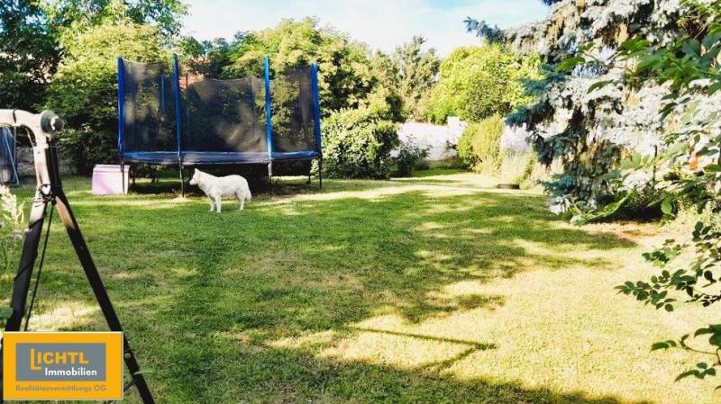 Zahrada rodinného domu v Kittsee s trampolínou, psem a bujnou zelení.