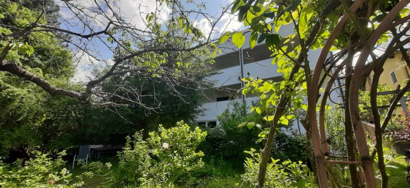 Vila v Hainburgu an der Donau obklopená zelení a stromy pod modrou oblohou.