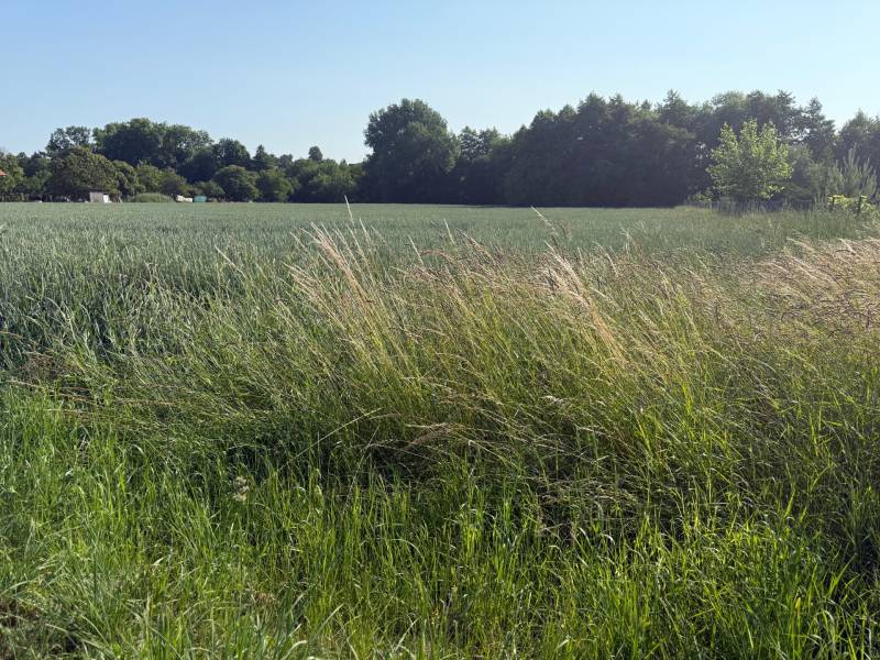 Krajina v Bojnej se zelení a stromy, vhodná pro pozemky - bydlení.