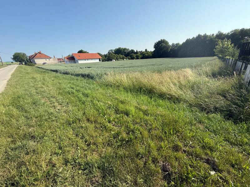 Travnaté pozemky na bydlení v Bojné; domy, pole a cesta vedle lesa.