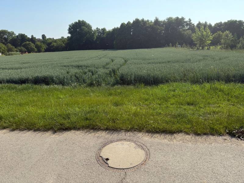 Zeleň a pole obklopené stromy, ideální pro pozemky - bydlení v Bojné.