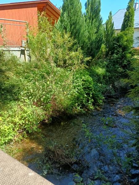 IMG_20250703_145247143_HDR.jpg