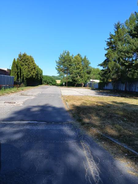 Asfaltová cesta obklopená stromy a zelení v Prievidzi, vhodná na pozemky - bydlení.