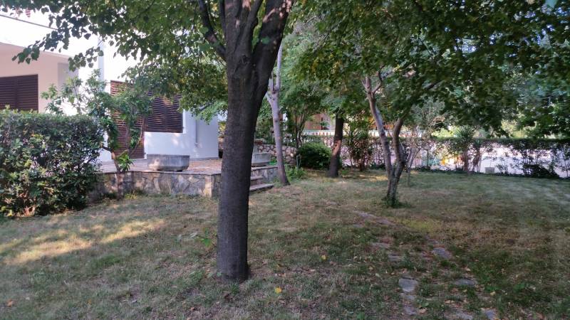 Zahrada s trávníkem a stromy u rodinného domu ve Vršech, obklopená zelení a keři.
