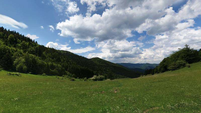 Zelená louka obklopená lesy a kopci v Čavoji, ideální pro zemědělské a lesní pozemky.