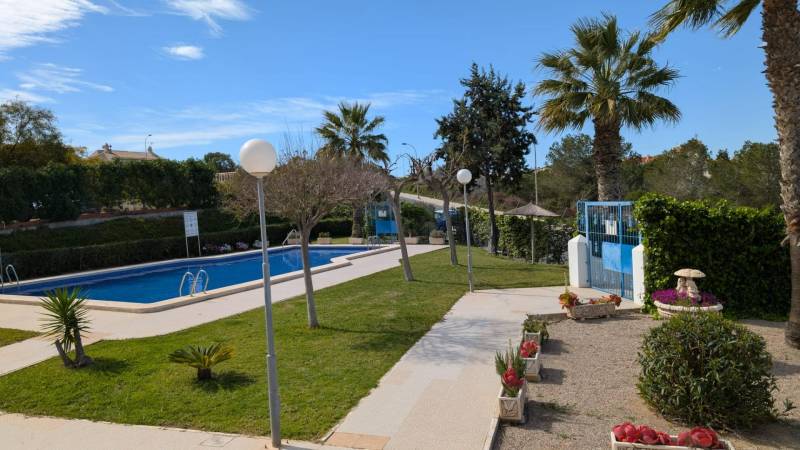 Bazén s palmami a zelení v oblasti ulice cl. Aquiles, Torrevieja.