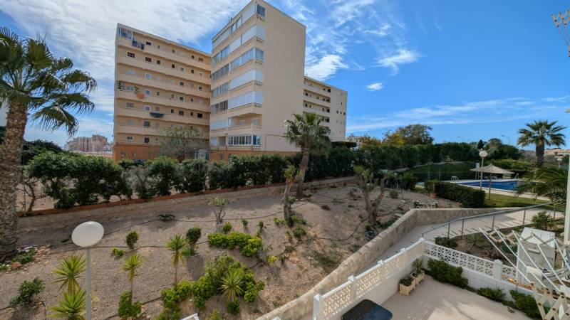 Budova s byty, bazénem a zelení v Torrevieji na ulici cl. Aquiles.
