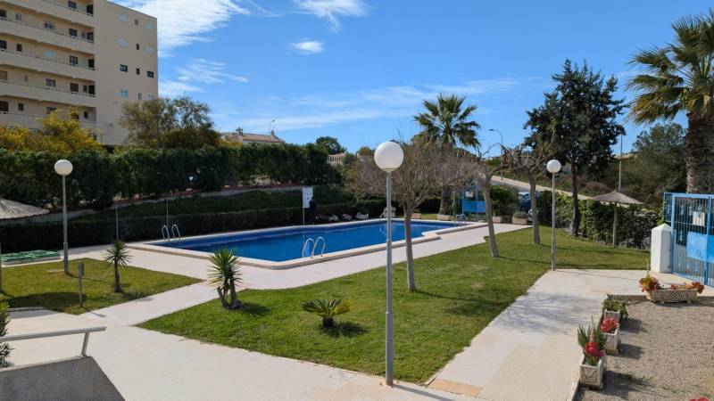 Bazén s palmami a zelení na ulici cl. Aquiles v Torrevieja, vhodný pro obyvatele garsonky.