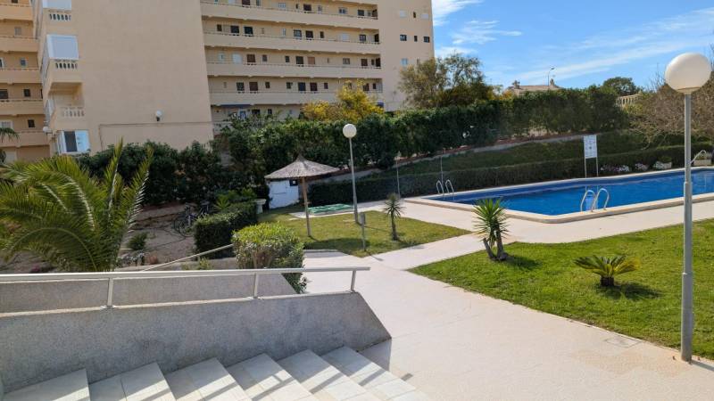 Bazén a zahrada před apartmánovým komplexem na ulici cl. Aquiles v Torrevieja.