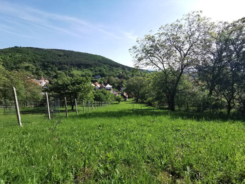 Rodinný dům v Nitrianskych Sučanoch nabízí výhled na přírodu a kopcovité pozadí.