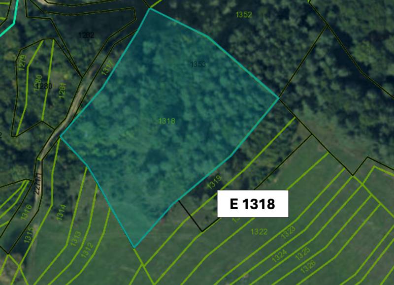 Mapa zachycuje parcely lesních pozemků v oblasti Omastiná.