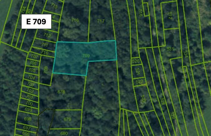 Katastrální mapa zemědělských a lesních pozemků v Omastině.
