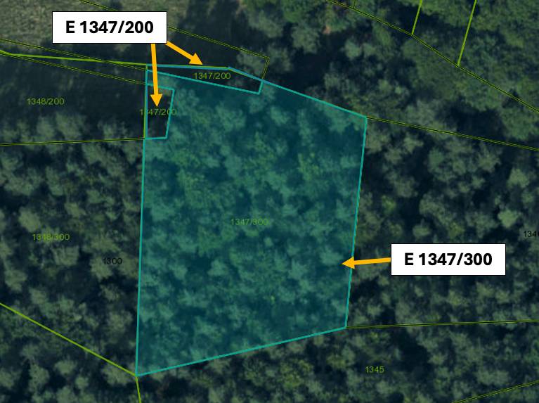 Katastrální mapa s parcelami v Omastiné, zemědělské a lesní pozemky.