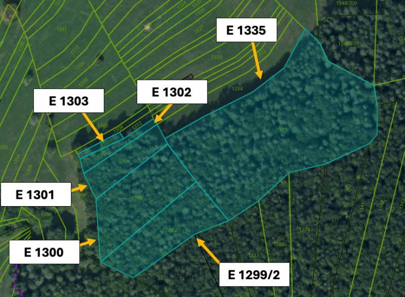 Katastrální mapa zemědělských a lesních pozemků v Omastině s parcelními čísly.