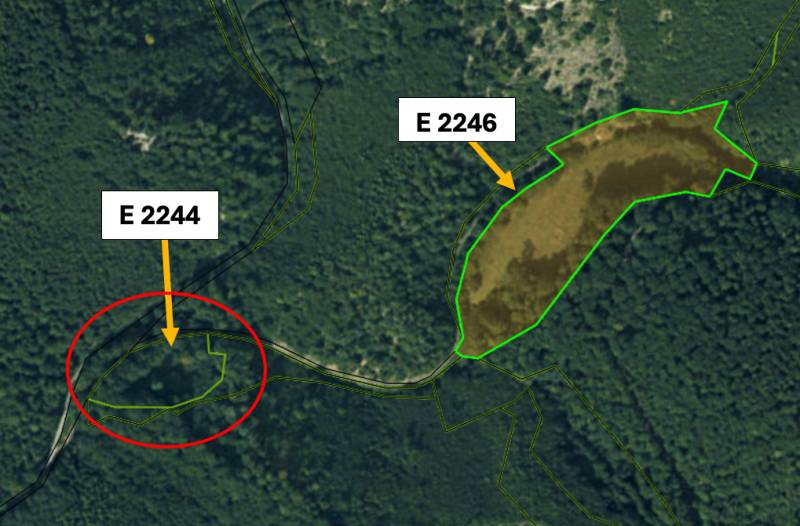 Letecká mapa zemědělských a lesních pozemků blízko Omastiné, označené plochy E 2244 a E 2246.