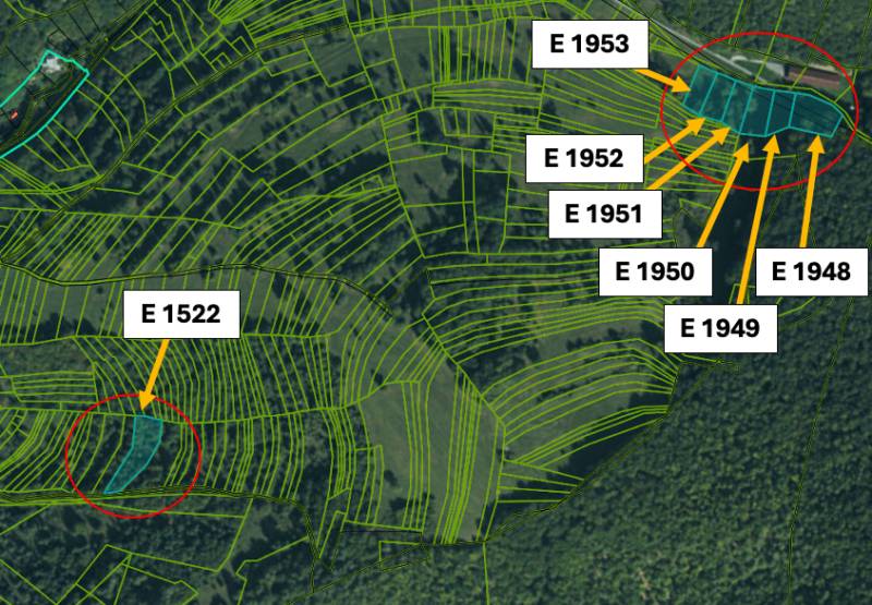Katastrální mapa zemědělských a lesních pozemků v Omastině s vyznačenými parcelami.