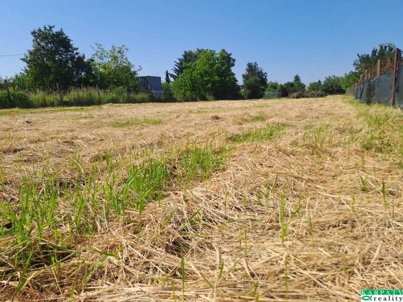 Pozemky - komerční na prodej ve Sládkovičově, Sládkovičovo, zelená tráva, modrá obloha.