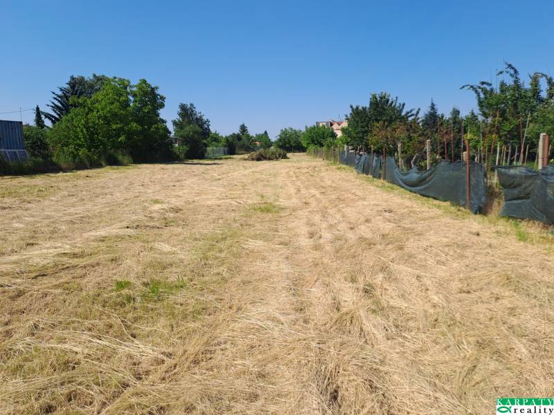 Rovinaté pozemky - komerční ve městě Sládkovičovo, ulice Sládkovičovo, se zelení po stranách.