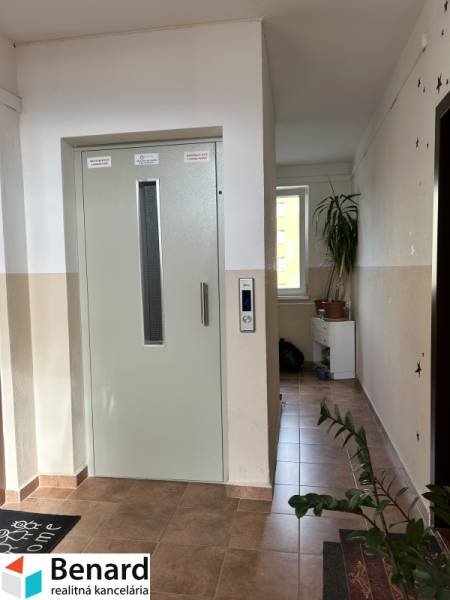 Interiér 2pokojového bytu s výtahem, rostlinami a světlem z okna na chodbě.