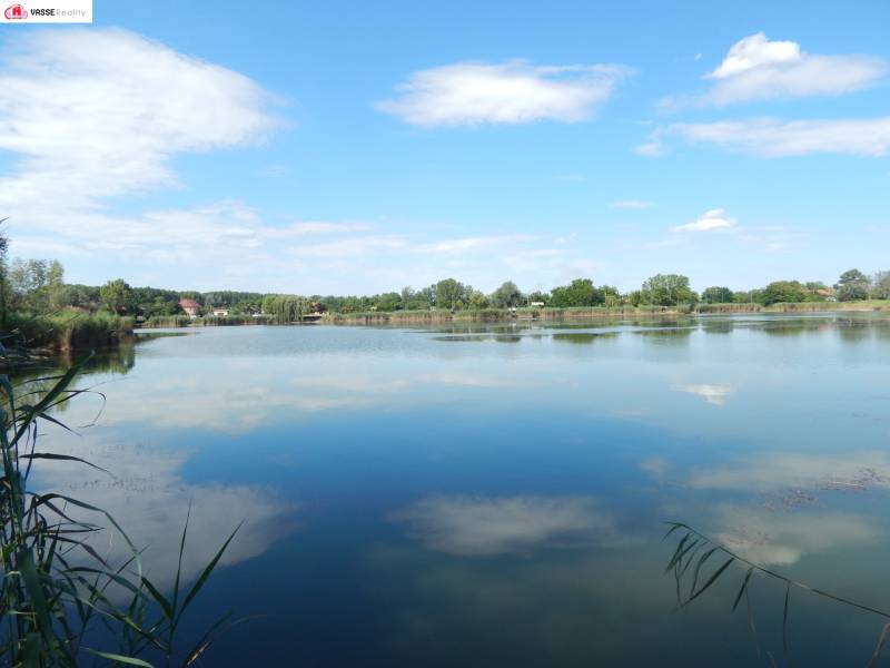 Jezero u Klížské Něme obklopené stromy a rákosím s klidnou oblohou.