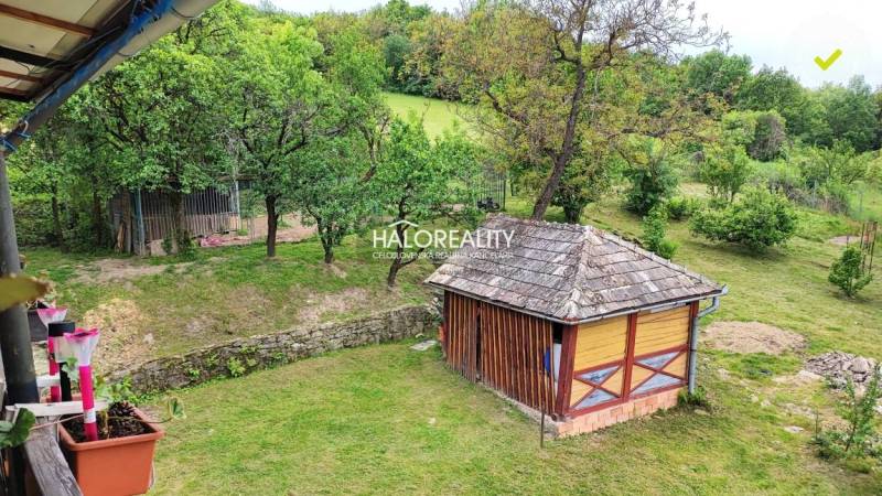 Zahrada u rodinného domu v Českých Brezovách s dřevěnou stavbou a stromy.
