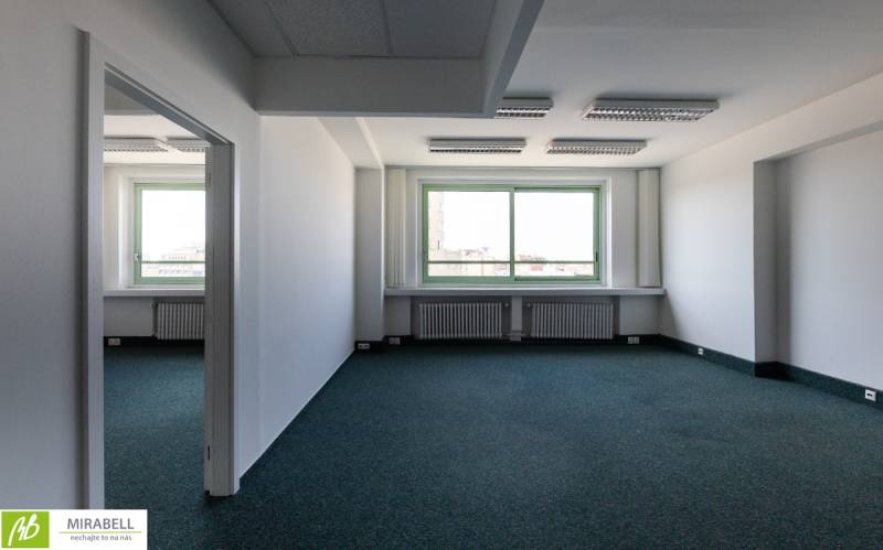 Priestranné kanceláře s velkým oknem a kobercem, s dostatkem přirozeného světla.