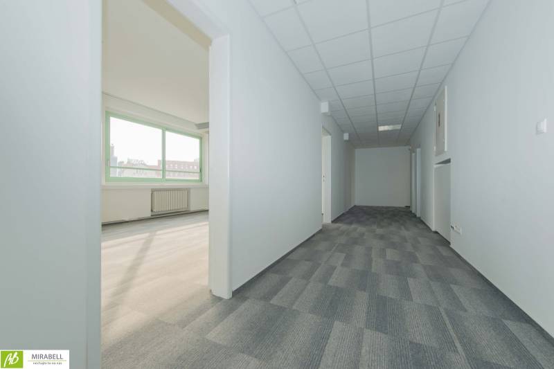 Samozřejmě, poskytněte mi prosím text, který chcete přeložit do češtiny.