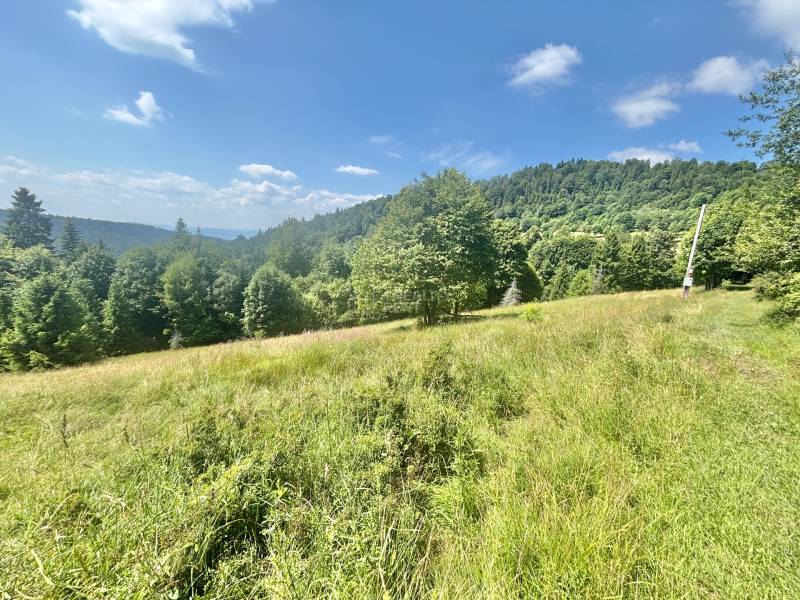 Krajina u lesa s výhledem na pohoří v Oščadnici, lokalita Dedovka, pozemky - bydlení.