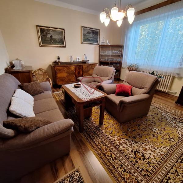 Obývací pokoj v rodinném domě s pohodlným nábytkem a orientálním kobercem.