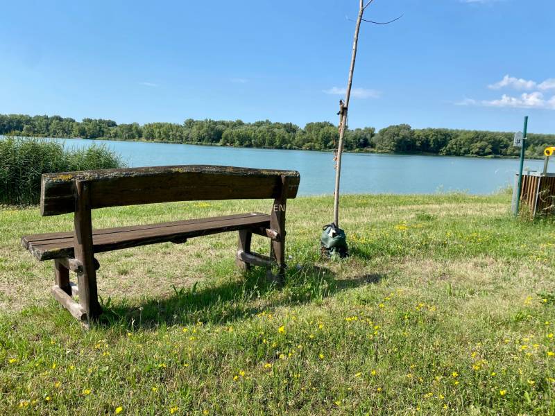 Lavička u jezera obklopená trávou a květinami ve Vojce nad Dunajem.