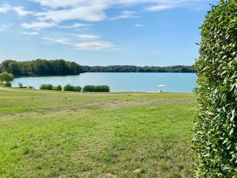 Poklidná vodní plocha u rodinného domu ve Vojce nad Dunajem se zelení a deštníkem.