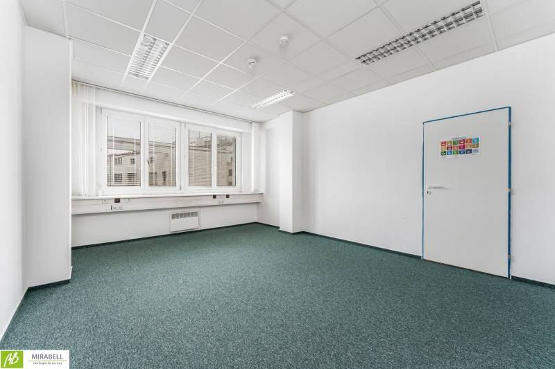 Prázdná kancelář s kobercem a okny, bílé stěny, zelený koberec.