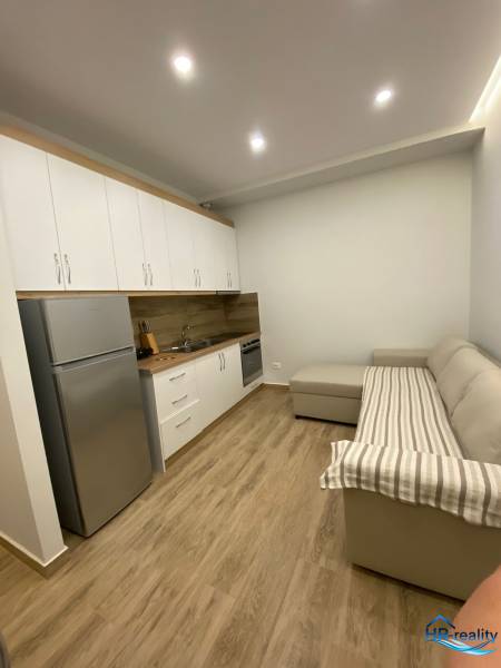 Rekreační apartmán s kuchyňskou linkou, lednicí a pohodlnou pohovkou na dřevěné podlaze.