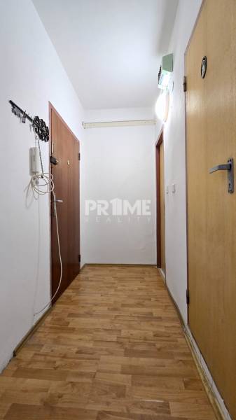 Chodba s dřevěnou podlahou v 3-pokojovém bytě, s dveřmi a závěsným háčkem.