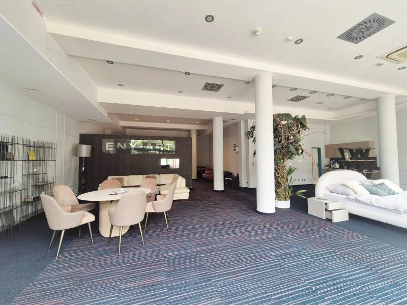 Interiér obchodních prostor s nábytkem a rostlinami, místnost je prostorná a světlá.