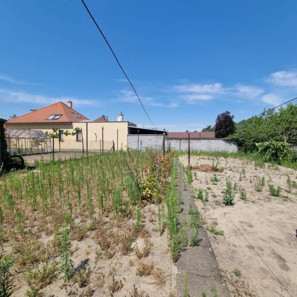 Zahrada za rodinným domem na ulici Písniky v Malackách s bujnou vegetací a oplocením.