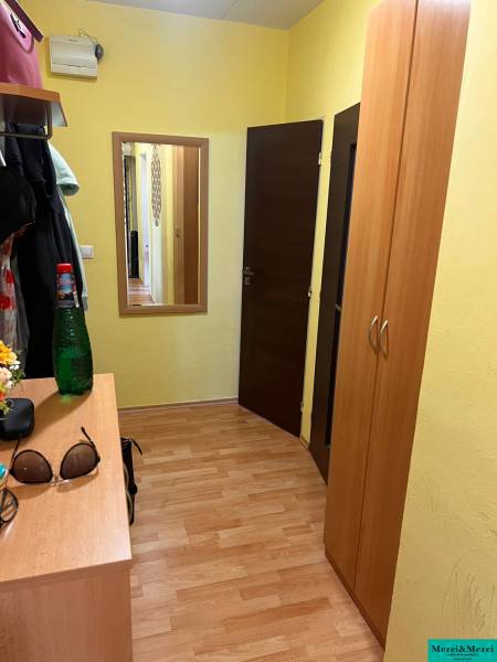 Chodba ve 3-pokojovém bytě s dřevěnou podlahou, vestavěnou skříní a zrcadlem.